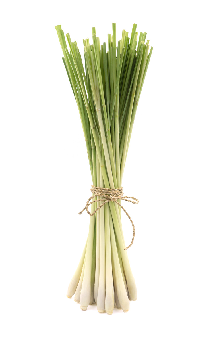 Fresh Lemongrass (citronella) isolated on white background, with clipping path.