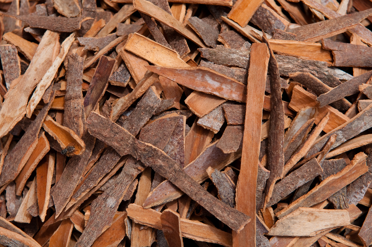 Cinnamon Bark Background